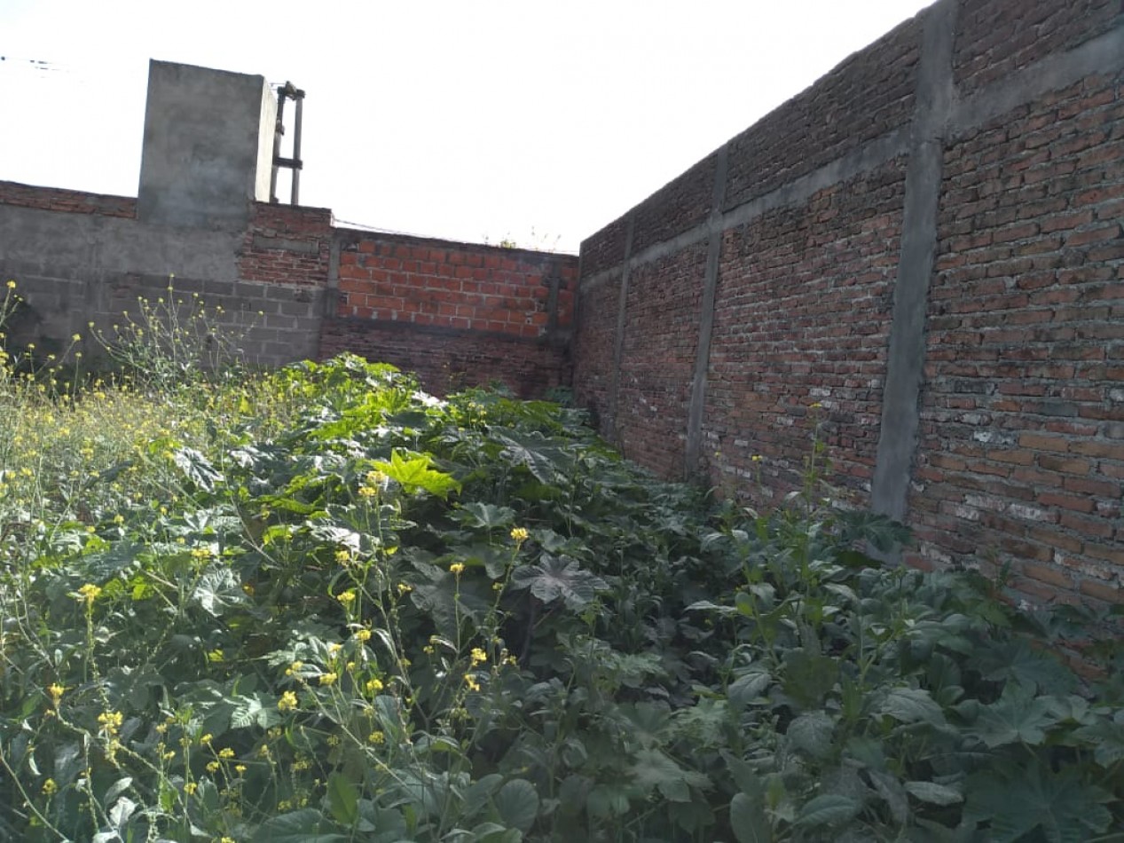 JOSE MALABIA AL 1500