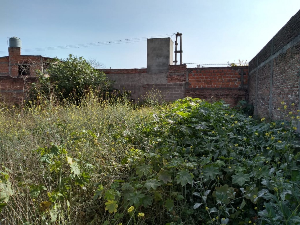 JOSE MALABIA AL 1500