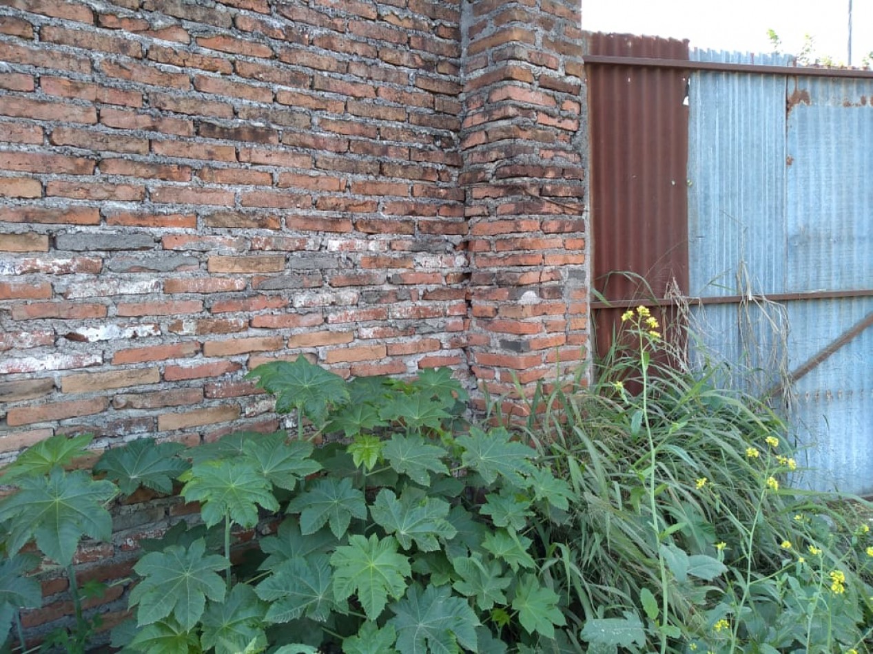 JOSE MALABIA AL 1500